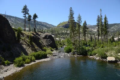 DSC_3806 (Large).JPG